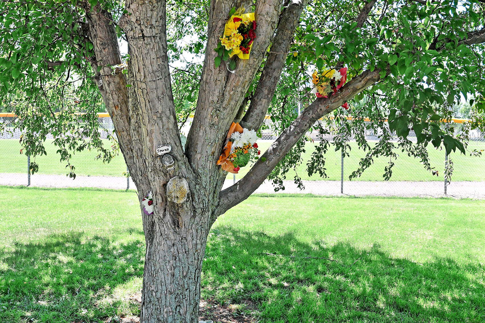 Tree memorial